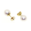 Perlen – Ohrstecker 585er Gelbgold